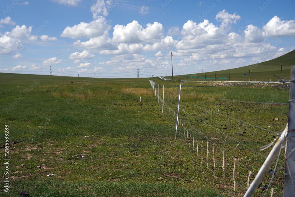 Fototapeta premium vast grassland under blue sky with white clouds in rural area
