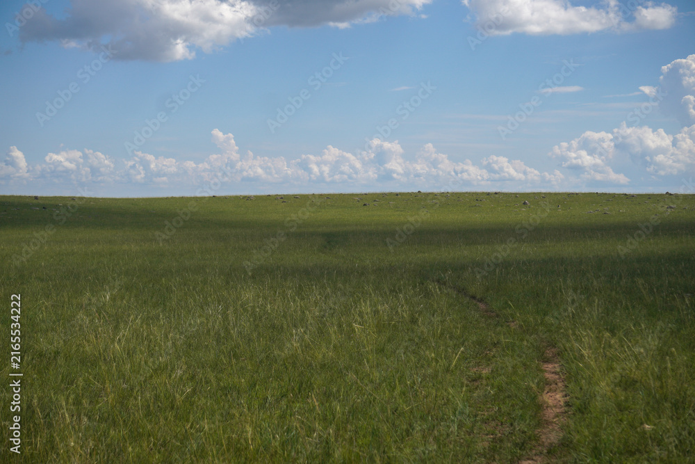 Obraz premium Wide open grassland under clear sky with gentle clouds