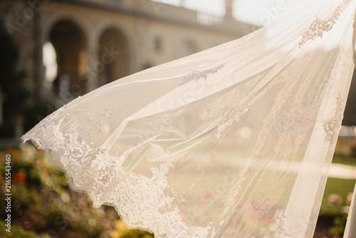 Lace fabric texture of a wedding veil
