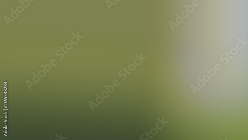 фотографія Blurred green background with indistinct shapes soft focus