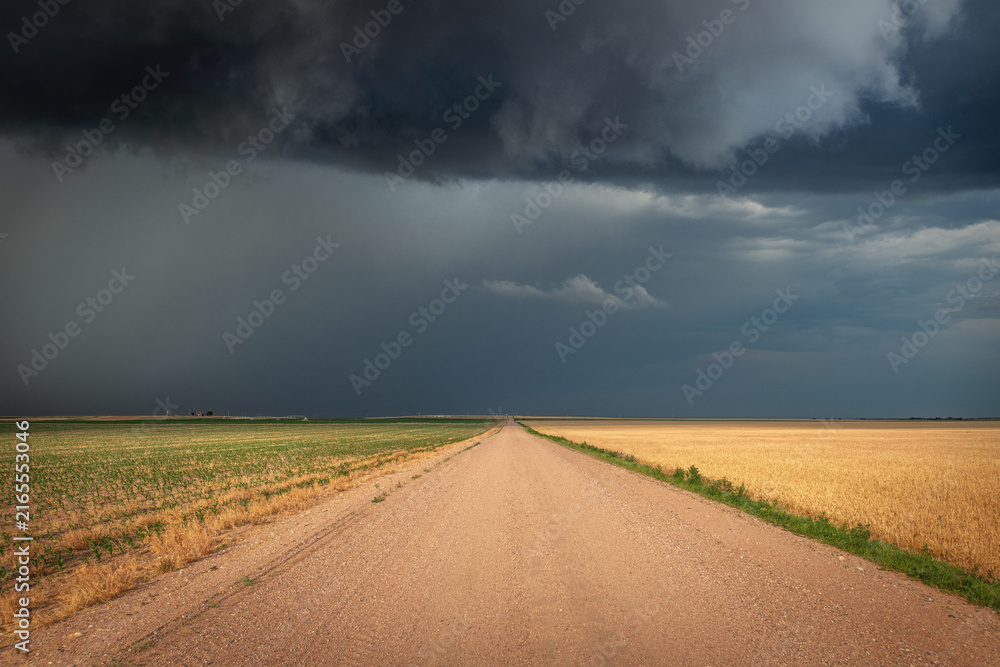 Obraz premium Dirt road deep in the farmland of the Great Plains