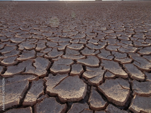 Foto impacto climatico desierto
