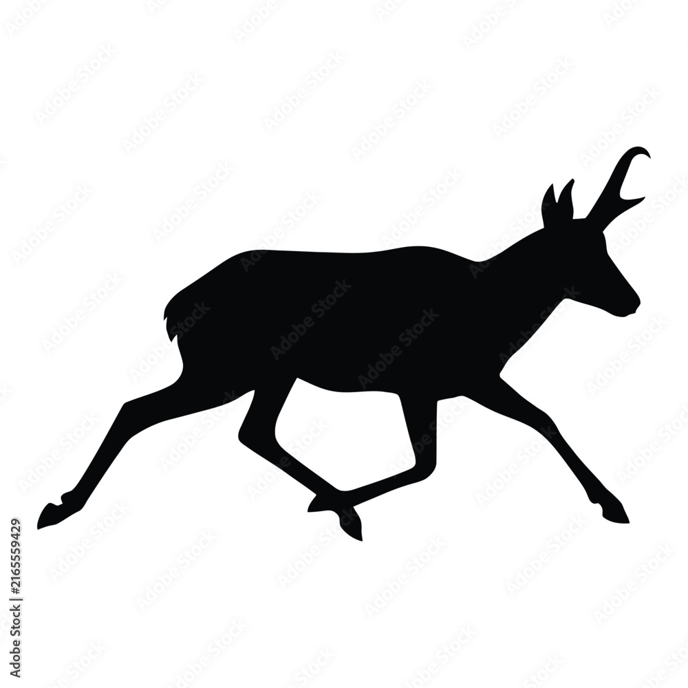 Fototapeta premium A running deer is depicted in a stark black silhouette antler