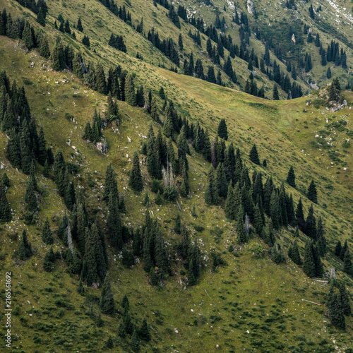 Landscape KZ, mountain, trees, green, stones, peak, blue,, clubs, forester 