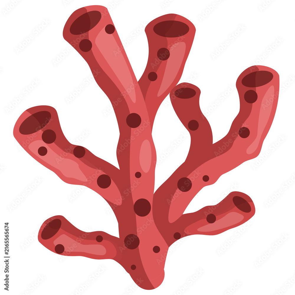 Foto Red seaweed