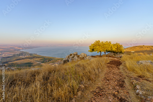 Sea of Galilee sunset, from Mount Arbel