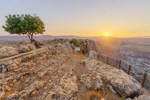 Lone carob tree sunset, Mount Arbel