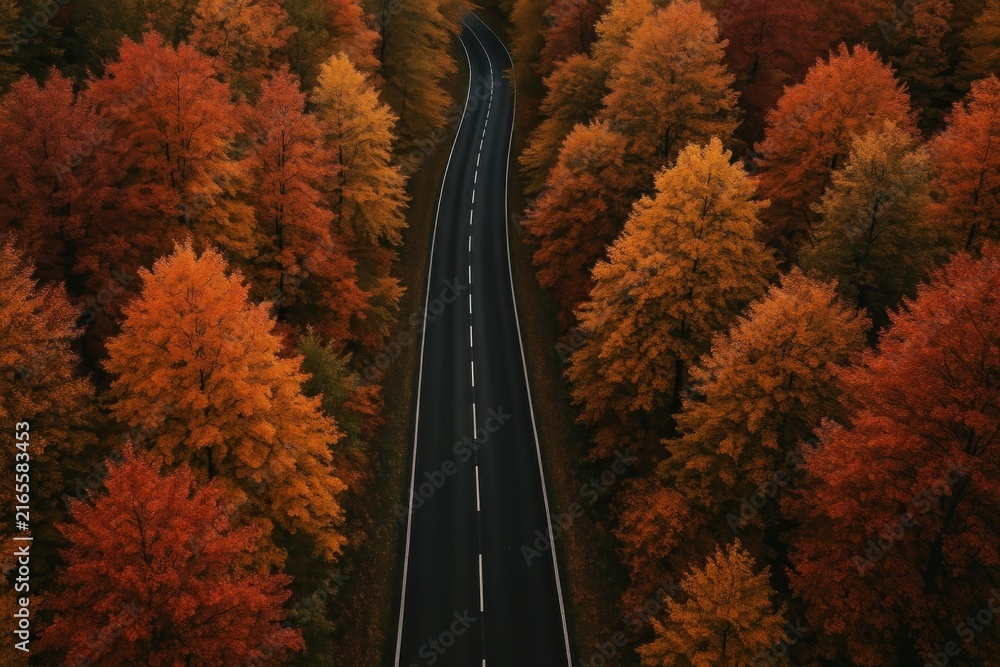Fototapeta premium Winding road through autumn forest