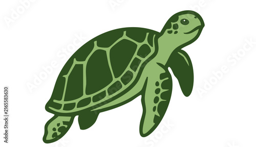 Green Sea Turtle Flat Vector Illustration Isolated on White Background