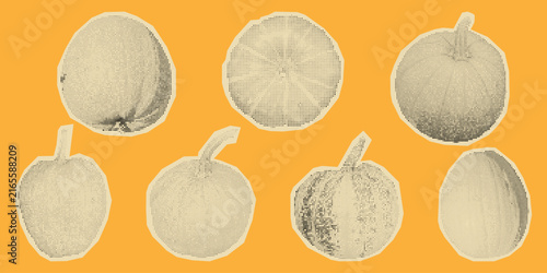 Autumn Pumpkin Halftone Collage Grunge Stickers