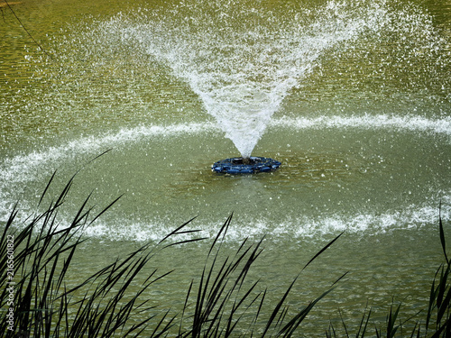 Foto Pond Fountain Spraying Water with Reeds in Foreground