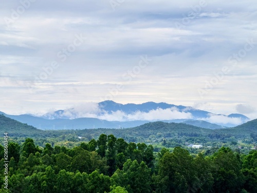Fotografie Beautiful landscape of tropical green forest and mountains with fresh morning mi