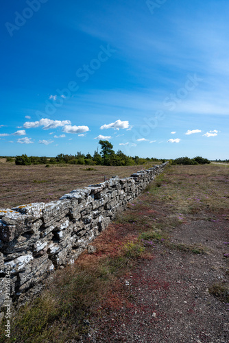 Limeston wall through the area Alvaret on the island of Oland in Sweden