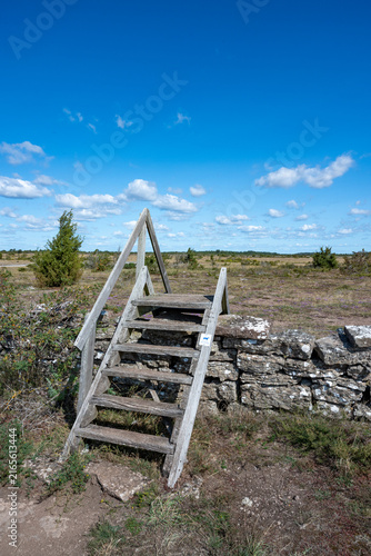 Limeston wall through the area Alvaret on the island of Oland in Sweden