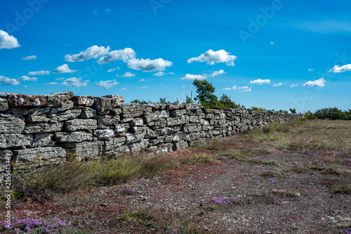 Limeston wall through the area Alvaret on the island of Oland in Sweden