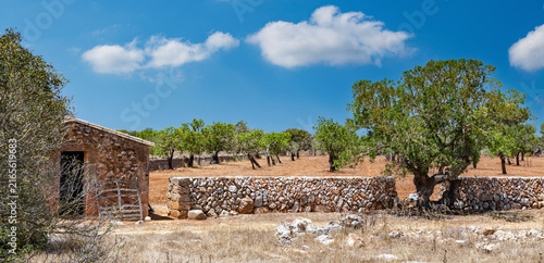 Rural Mallorca far away from tourist resorts – 0064