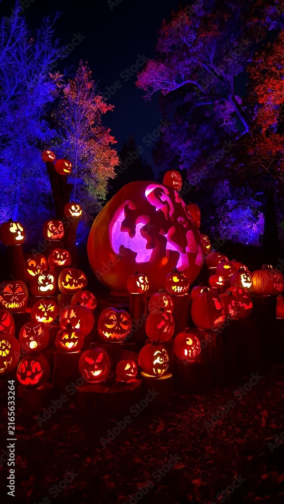 Naklejka premium Illuminated Jack-O'-Lantern Display at Jack-O'-Lantern Spectacular, Roger Williams Park Zoo