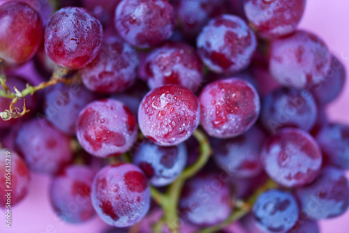 Fotografie Close up of dewy red grapes