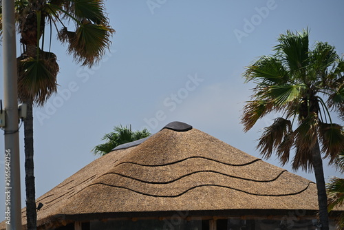 Фотография Close Up of Decorative Wave Pattern on Thatched Beach Hut Roof