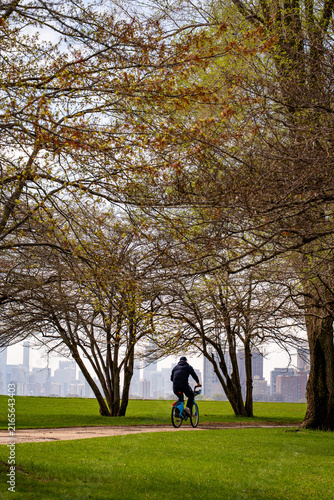 Cyclist riding along a park path in Chicago during autumn, with golden-yellow trees in the foreground and a city skyline of downtown vertical photo