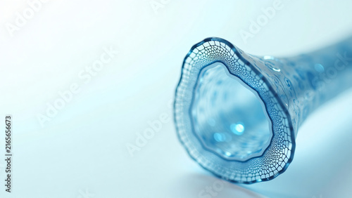 Hair Follicle Cross Section for Scientific Illustration