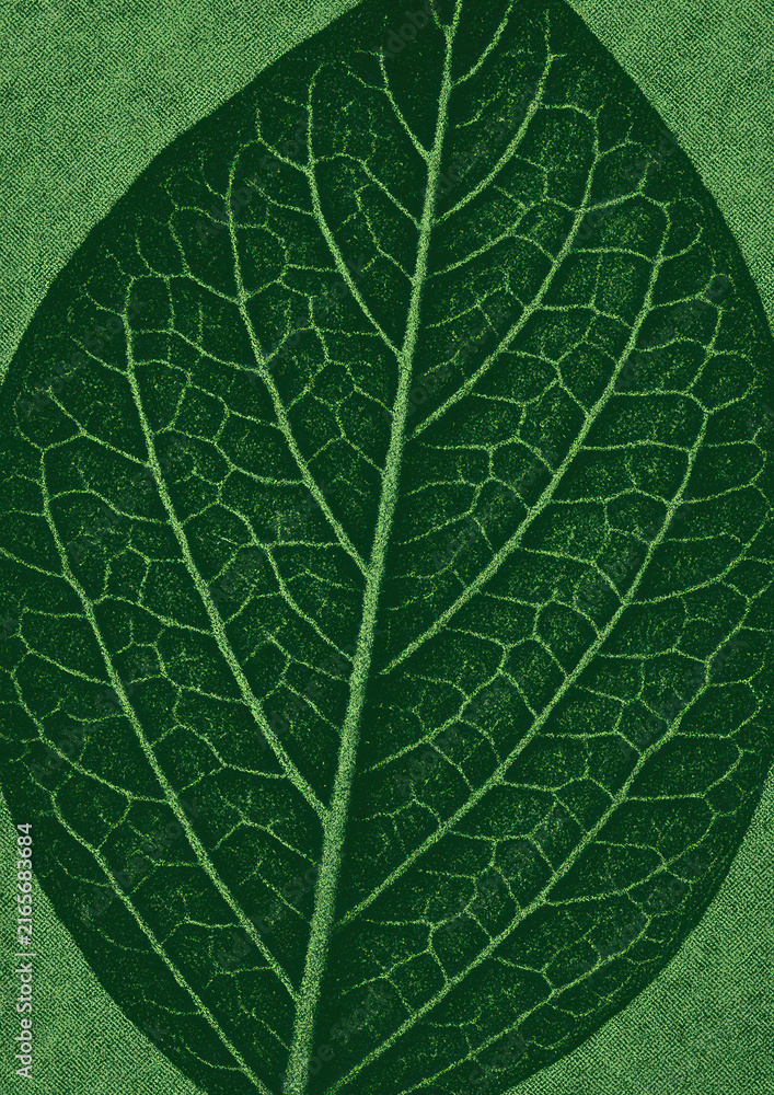 Fototapeta premium Intricate green leaf texture illustration.