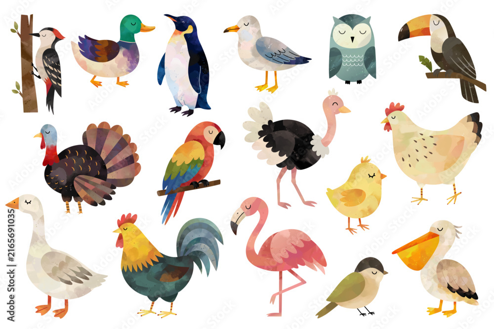 Naklejka premium Watercolor birds collection. Farm, tropical, forest, ocean and wild bird illustrations. Colorful birds. Handpainted animals.