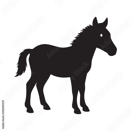 Horse Silhouette