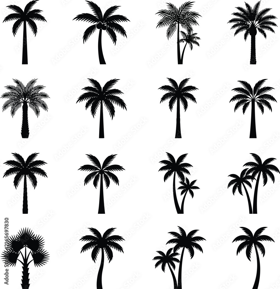 Naklejka premium Collection of palm tree silhouettes against a white background showcasing tropical vegetation arboriculture botanical