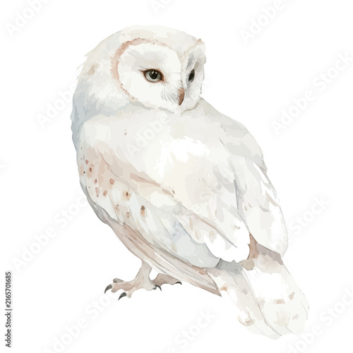 Foto watercolor vector of Banshee drawing, isolated on a white background