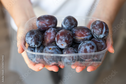 Obraz na plátne Fresh ripe plums in a clear plastic punnet held in hands for market produce disp
