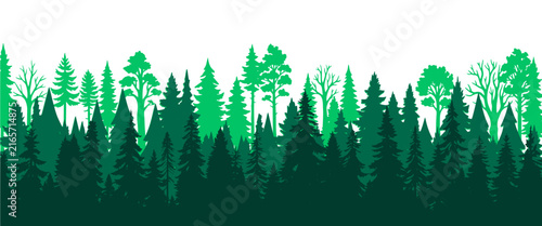 Evergreen forest tree landscape for nature and woodland themes. Layered green silhouette style with varied tree shapes. Horizontal vector background illustration.