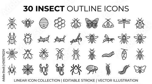 Insect outline icons set, 30 linear bug symbols for web design. Minimalist insect vector collection, editable stroke nature icons.
