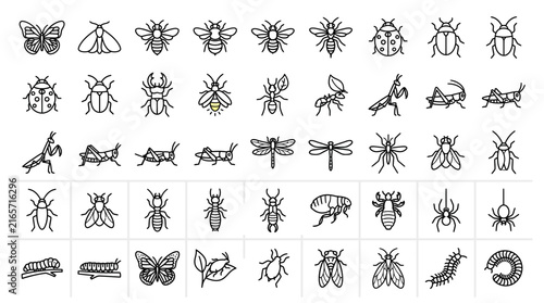 Minimalist insect line icons, set of 45 bug vector symbols, black outline butterfly and beetle graphics for nature apps