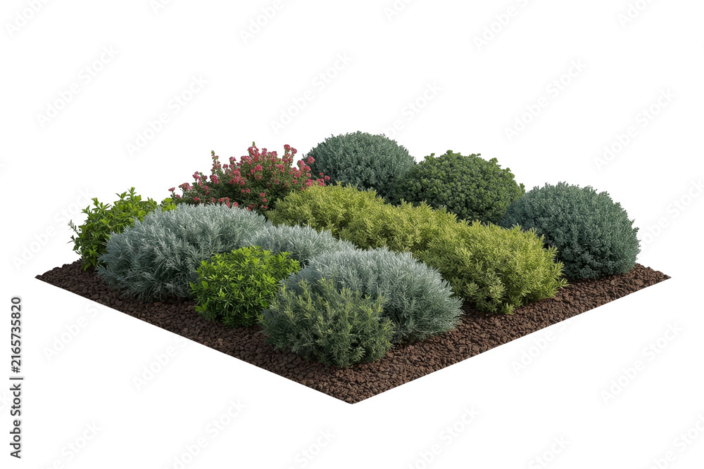 Fototapeta premium Rectangular landscaped garden bed with dense greenery