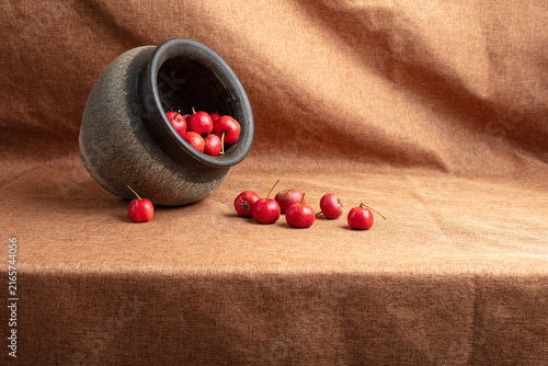 Rustic still life of red hawthorn berries in a clay pot on warm brown fabric