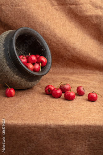 Konstfotografi Red hawthorn berries in rustic clay pot on warm brown fabric