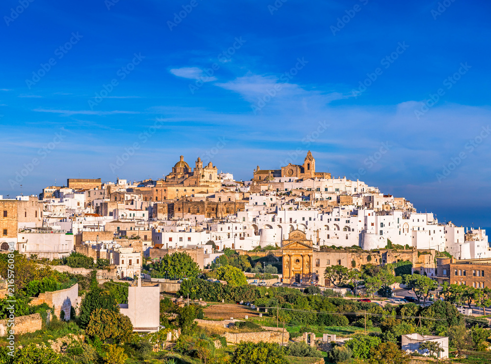 Naklejka premium Ostuni, Italy historic town skyline in the morning 48