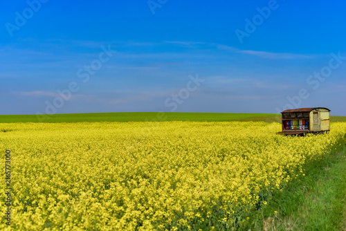 Rolling green agricultural fields in South Moravia, Czech Republic, known as the Moravian Tuscany, with gently undulating hills, crop patterns, tree lines and a picturesque rural landscape.