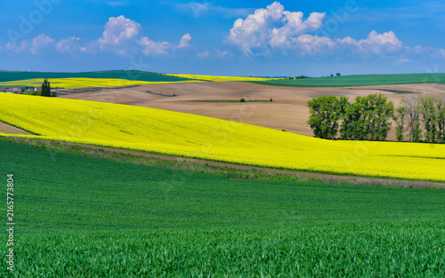 Rolling green agricultural fields in South Moravia, Czech Republic, known as the Moravian Tuscany, with gently undulating hills, crop patterns, tree lines and a picturesque rural landscape.