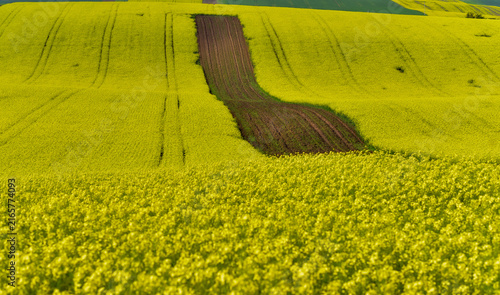 Rolling green agricultural fields in South Moravia, Czech Republic, known as the Moravian Tuscany, with gently undulating hills, crop patterns, tree lines and a picturesque rural landscape.