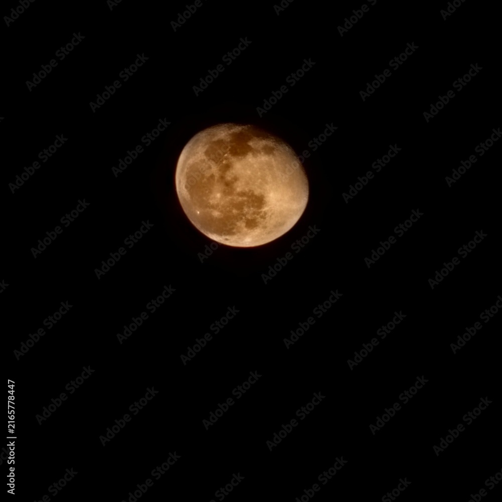 Fototapeta premium full moon in the night