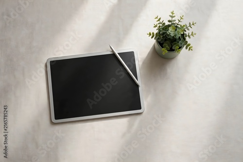 Natural Tablet Pen Plant Desk Setup