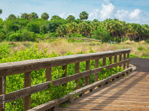 Wooden footbridge ends at a multipurpose trail to a similar footbridge in a nature preserve and conservation research area on a sunny afternoon along the Gulf Coast of Florida