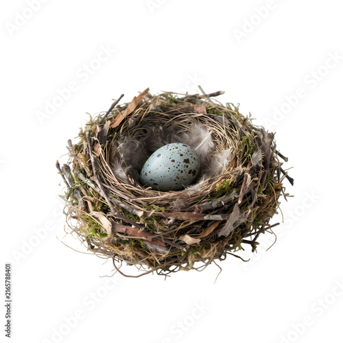 Handmade bird nest with single speckled egg in natural twig and moss construction for wildlife decor