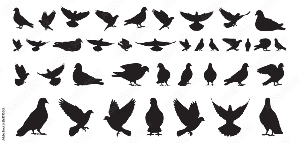 Fototapeta premium Festive dove and pigeon silhouette motifs, decorative icons suited for holiday cards, banners, and social posts, gentle compositions communicate peace and celebration, copy space included