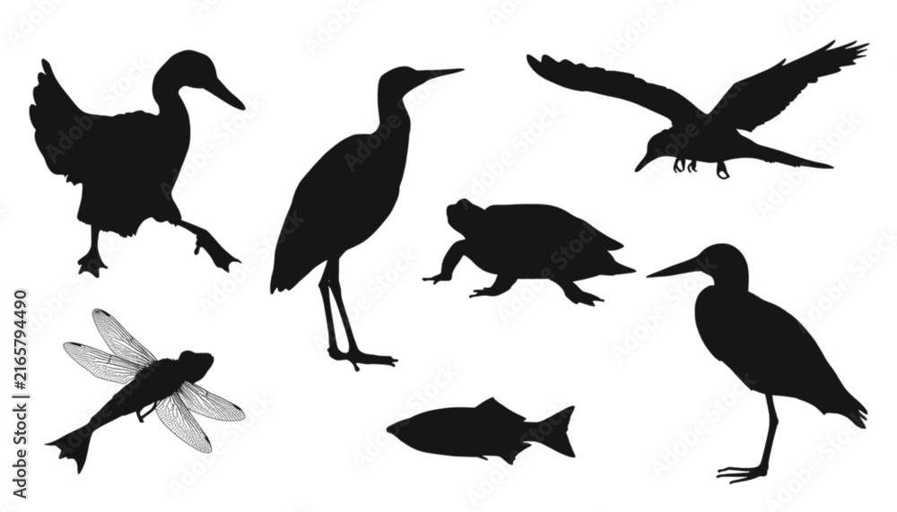 Fototapeta premium A collection of animal silhouettes including birds, a turtle, a fish, and a dragonfly on a white background