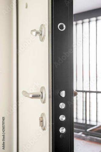 Modern Security Door Lock Detail