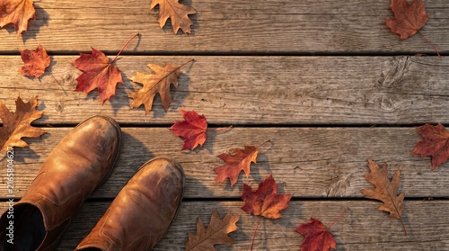 Overhead view of leather boots on wood deck scattered with maple leaves