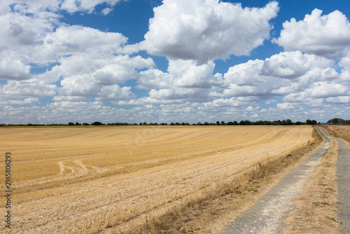 chemin de campagne